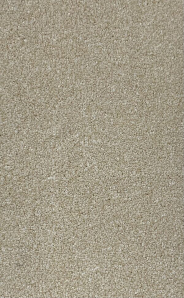Inglewood - British Saxony - Cormar Carpets - Image 5