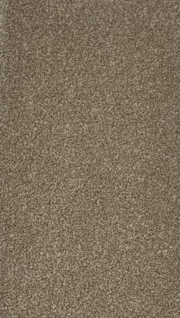 Inglewood - British Saxony - Cormar Carpets - Image 6