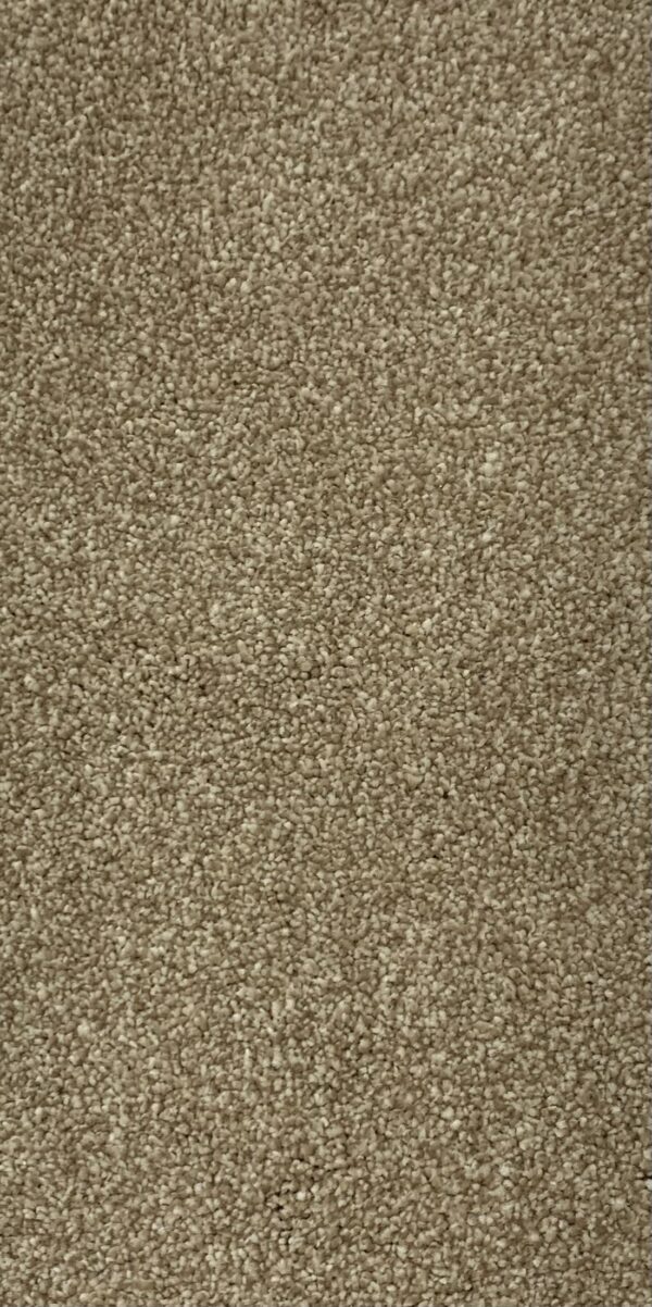 Inglewood - British Saxony - Cormar Carpets - Image 7