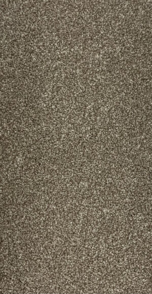 Inglewood - British Saxony - Cormar Carpets - Image 10