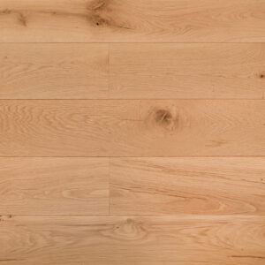 Kielder Oak