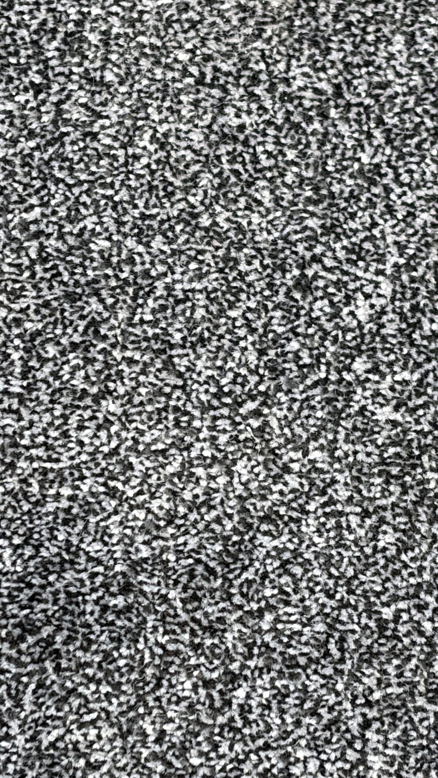 Venice Twist - Image 2