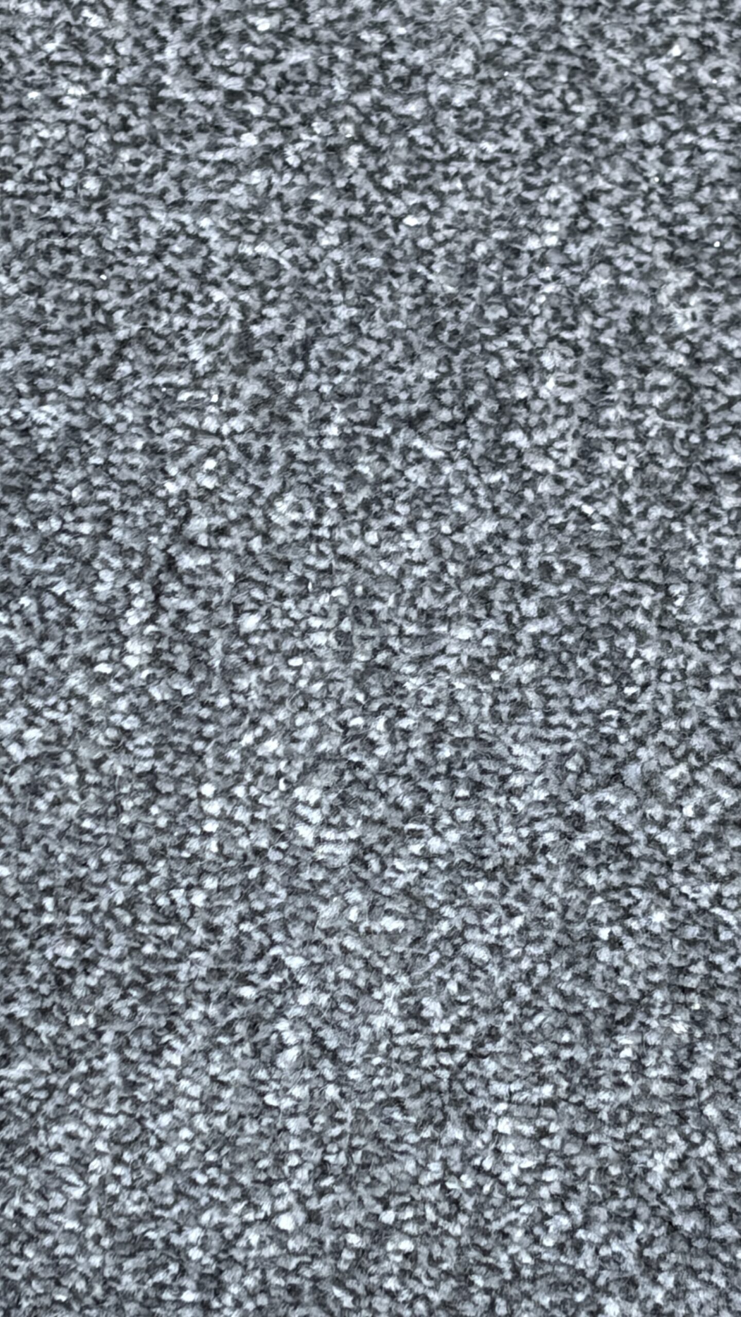 Venice Twist - Image 3