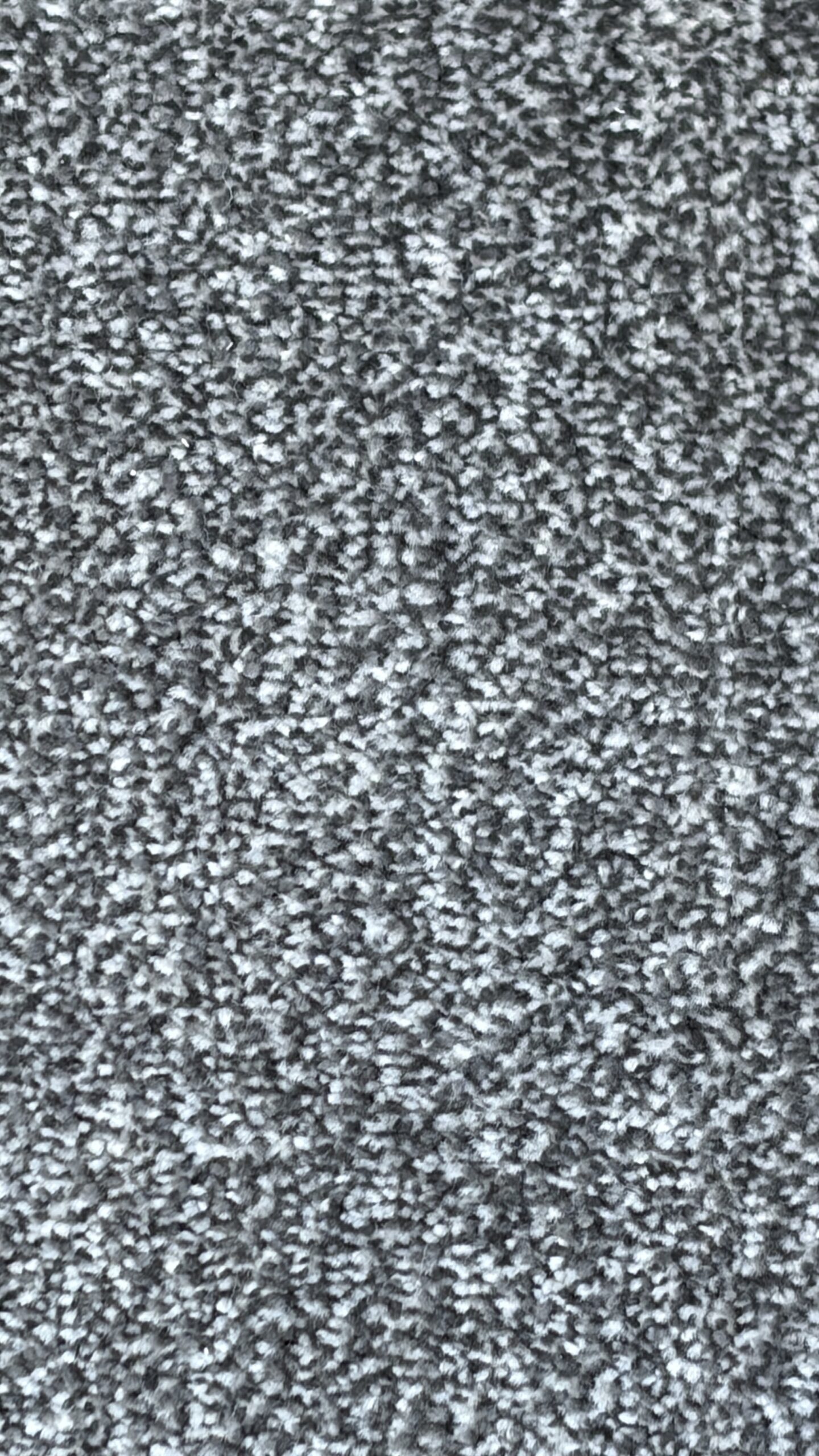 Venice Twist - Image 4