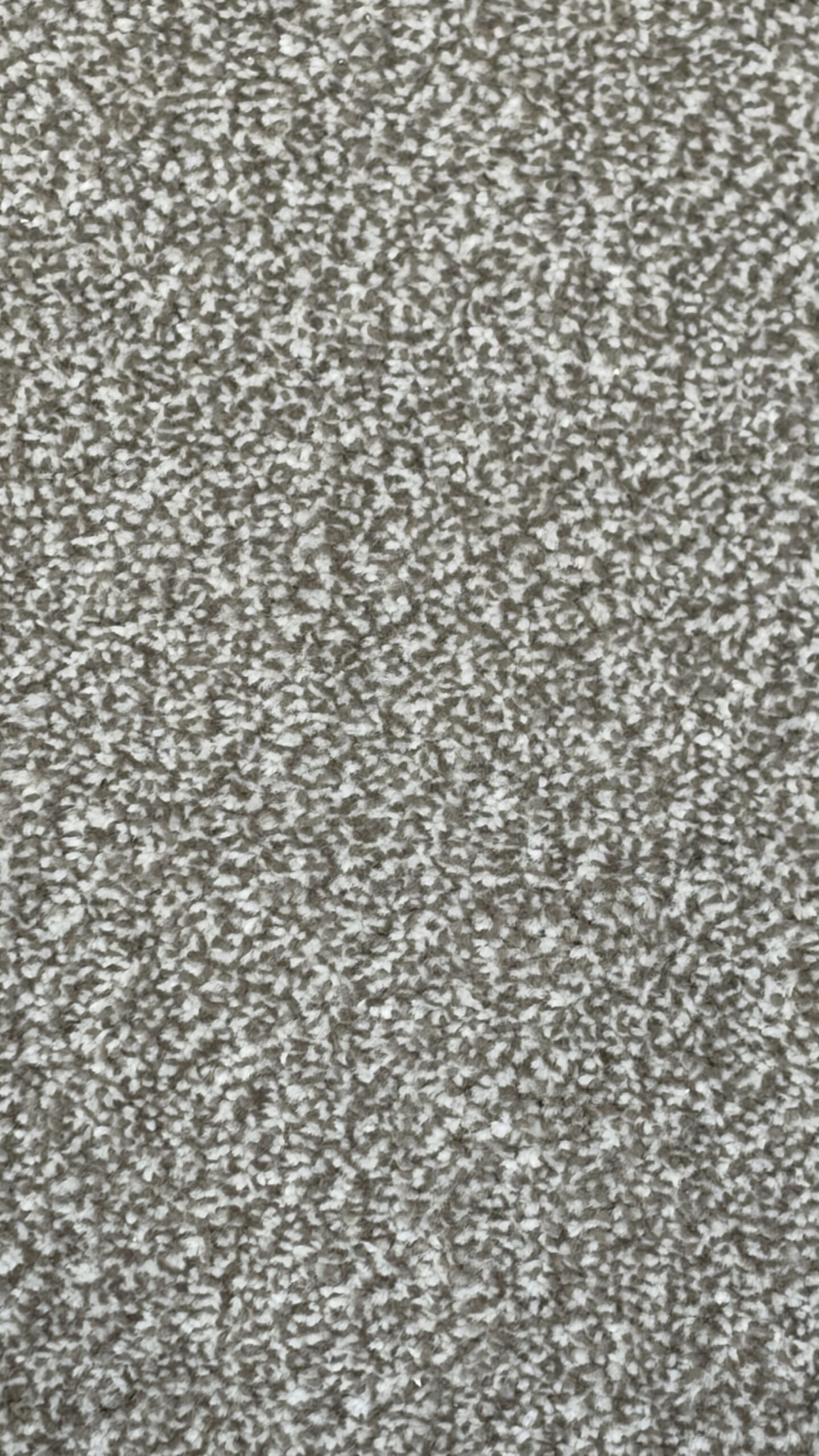 Venice Twist - Image 7