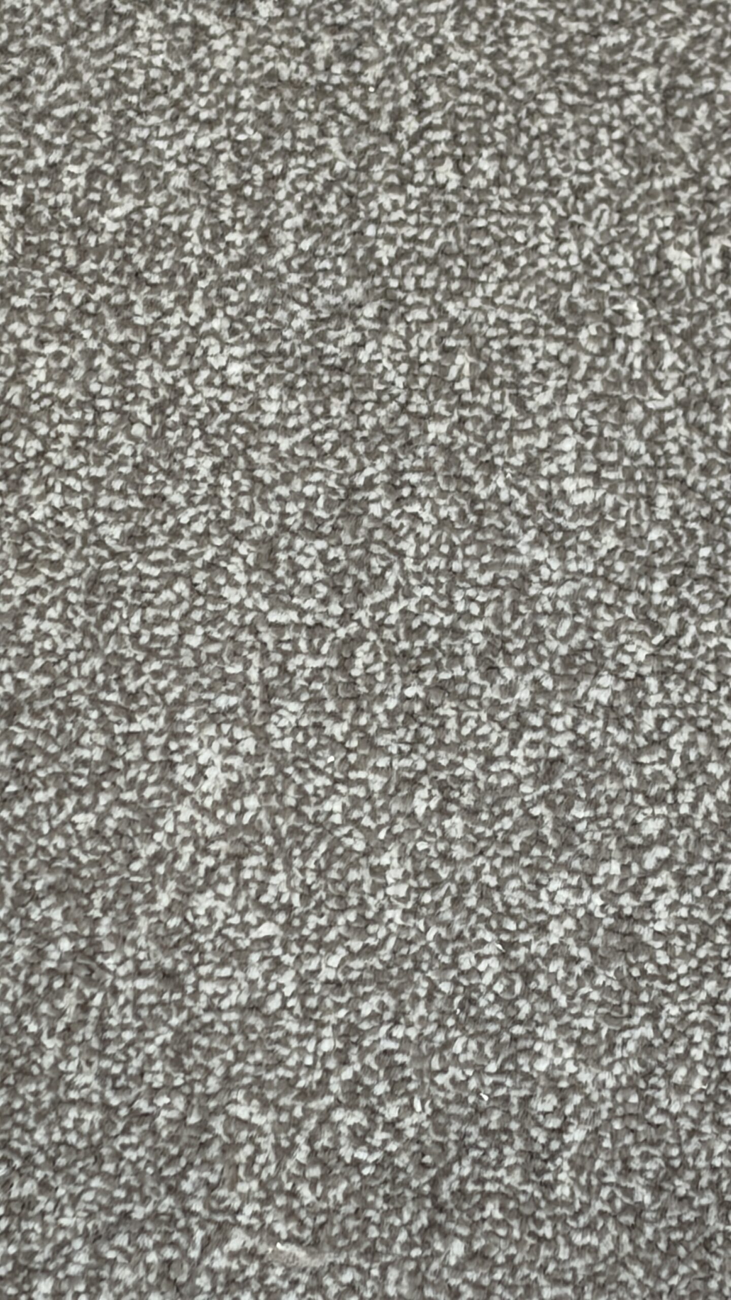 Venice Twist - Image 8