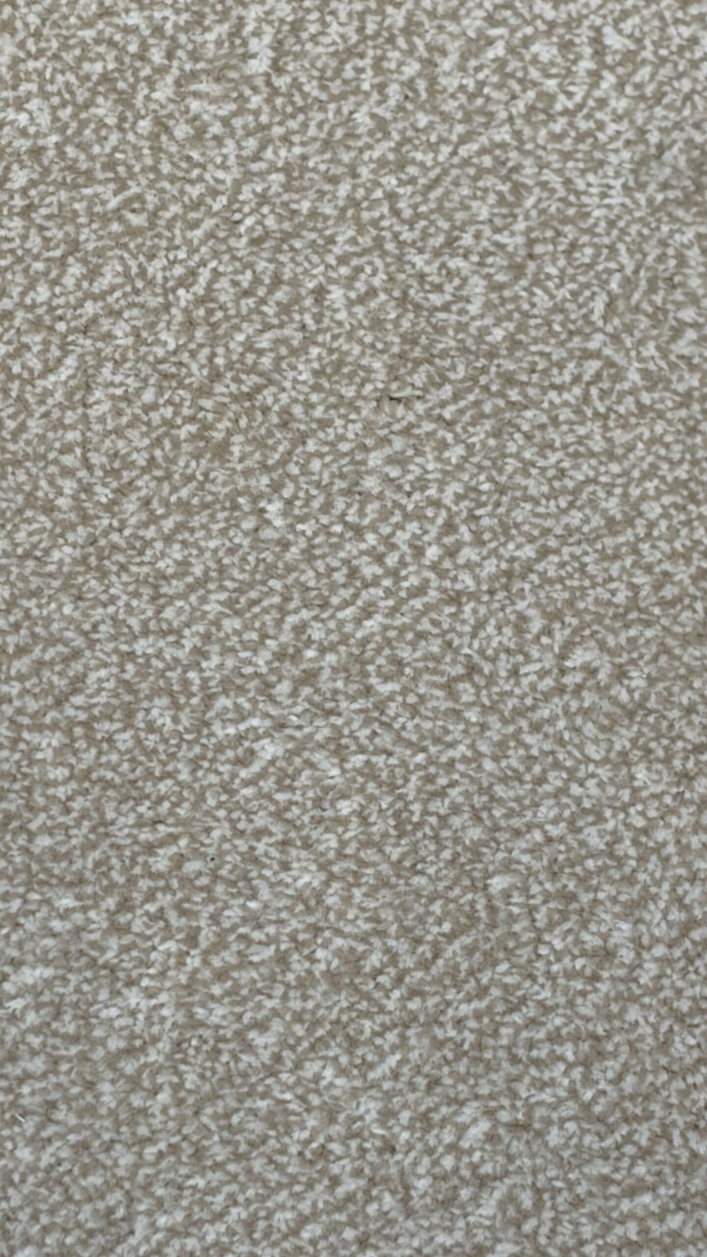 Venice Twist - Image 10